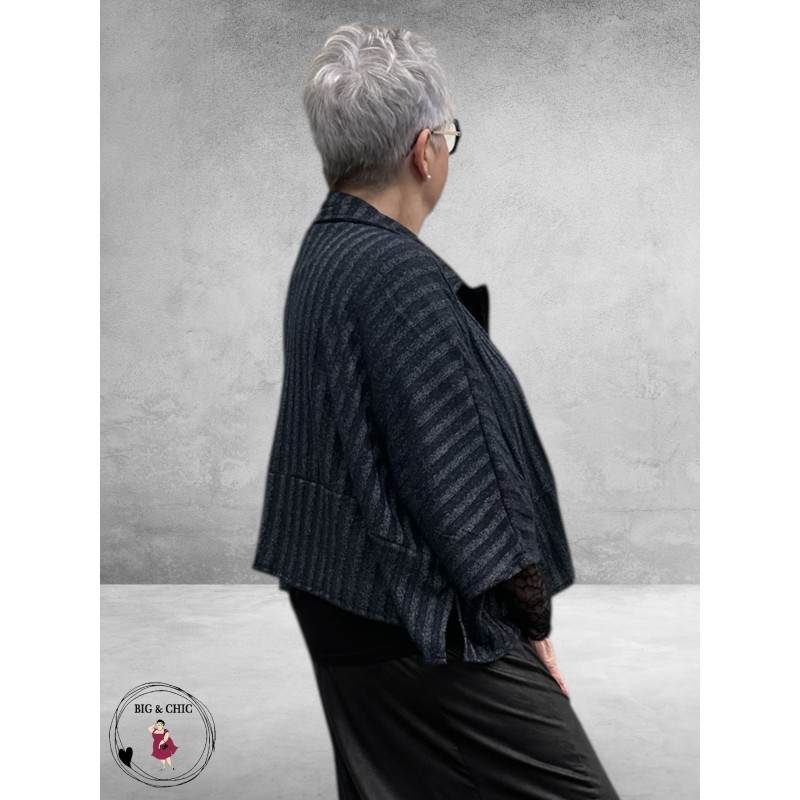 VINCENZO ALLOCCA Jasje/Vest Blauw Gemeleerd