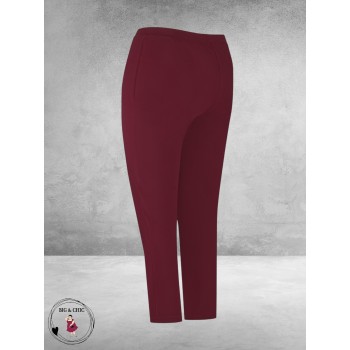 PLUS BASICS Pants Slim Berry