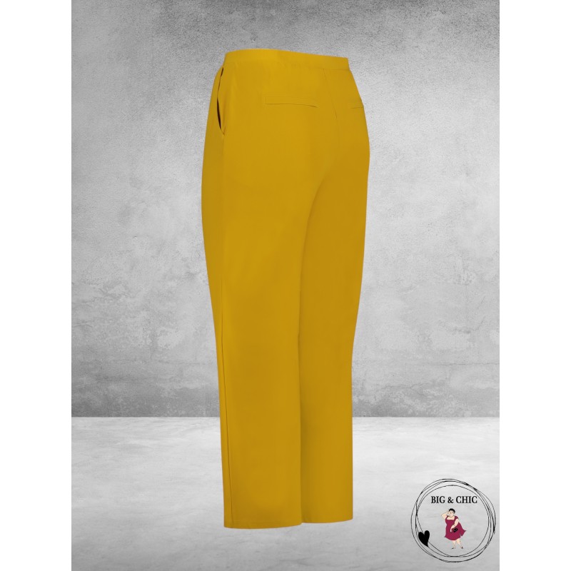 PLUS BASICS Broek/Pants OCHER YELLOW